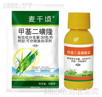 �׻�����¡+����һ���