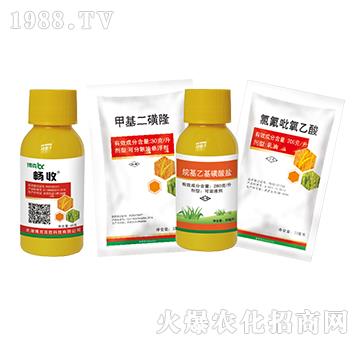 2�ס��p��+�׻�����¡