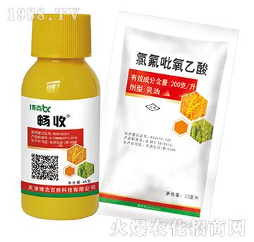 2�ס��p��+�ȷ�������