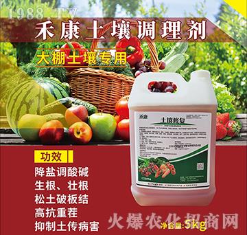 �̿����������{(di��o)�턩-�w