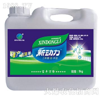 ΢�����|������-���S�f