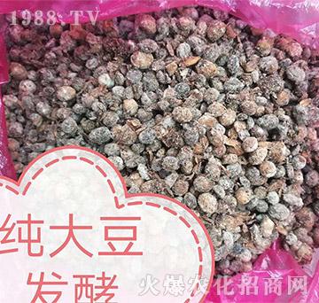 ���󶹰l(f��)��