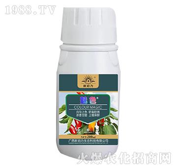 ��ɫ-����