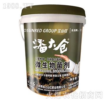 ΢�������-�˴�}-��ɽ�t