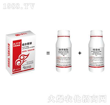 (li��n)�������x�-ȫ�ܵ��׽M��-���˹����r(n��ng)��