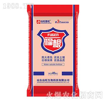 ����-ɽ������