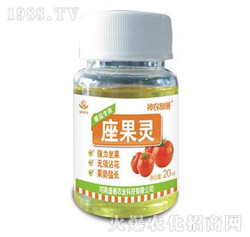 �����`�����ь�(zhu��n)�ã�-���r(n��ng)����-ʢ���r(n��ng)�I(y��)