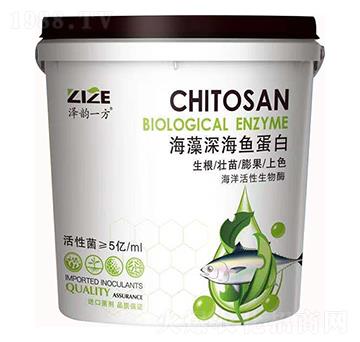 ������~����-���r���