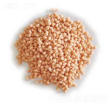 �Ȼ��@-¡ʢ-ʩ�׵�