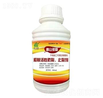 ���һ��Է���ֹ�ф�-��