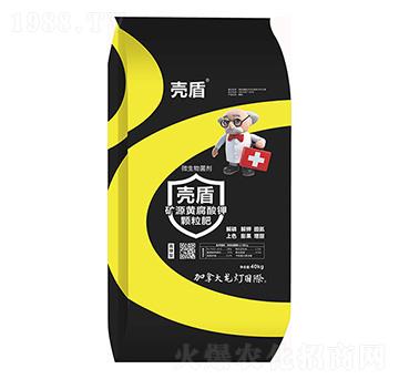 �VԴ�S������w����-����-����