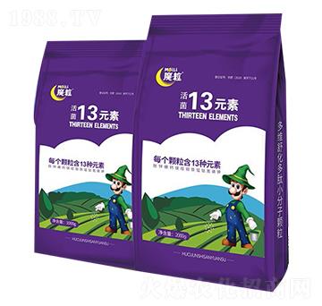 13Ԫ��-ħ���ʘI(y��)