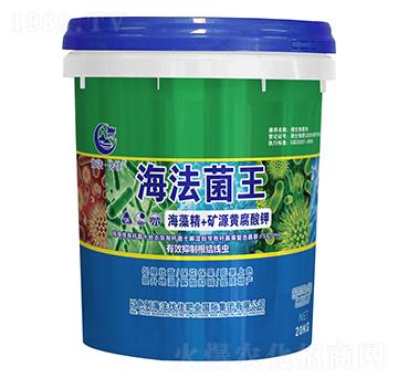 ���徫+�VԴ�S�����-��������-������(y��u)��