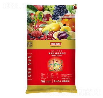 �����ЙC�|��΢�aʮ��Ԫ��-�G������