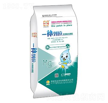 ��΢��Ԫ�ط�-һ�a��λ-�_�r(n��ng)��