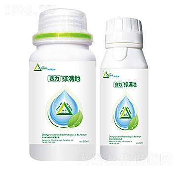 �ΝM��-�����Ƽ�