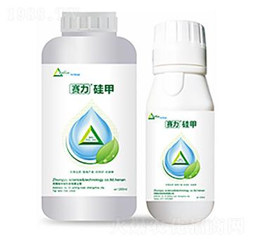 ِ�����-�����Ƽ�