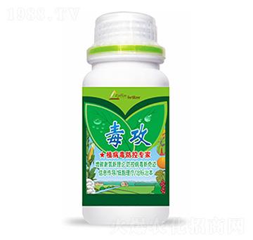 ����-�����Ƽ�