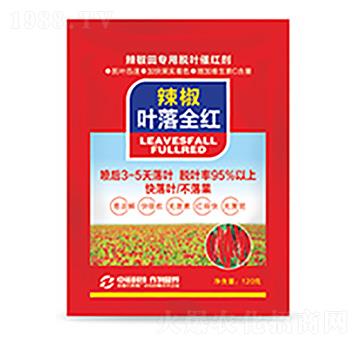 �����~��ȫ�t-�����Ƽ�