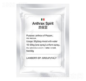 ̿���`-�����Ƽ�