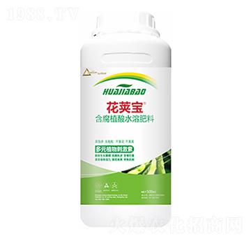 �󶹻�Ӣ��-�����Ƽ�