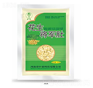 ������܊��-�����Ƽ�