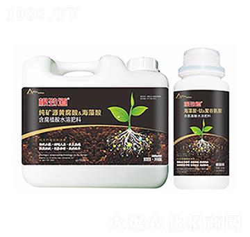 ���ŵ�-�����Ƽ�