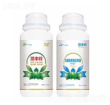 ��S�-�����Ƽ�