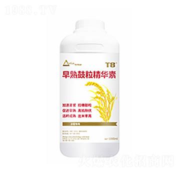 ����������A��-������