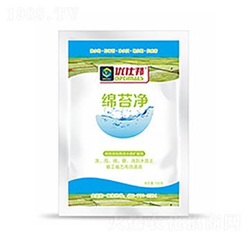 �d̦��-�����Ƽ�