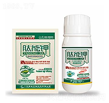 �����-�����Ƽ�