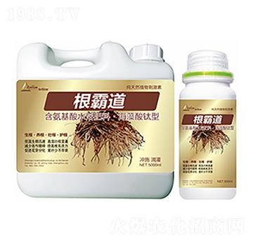 ���Ե�-�����Ƽ�