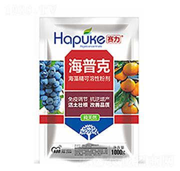 ِ�����տ�-�����Ƽ�