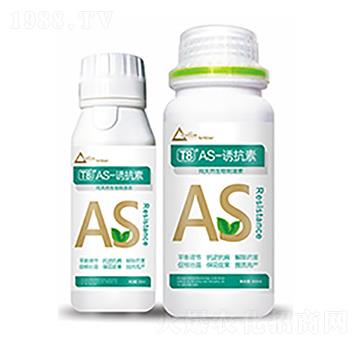 T8��AS-�T����-�����Ƽ�