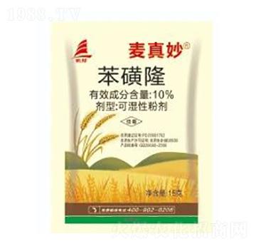 10%����¡-������-