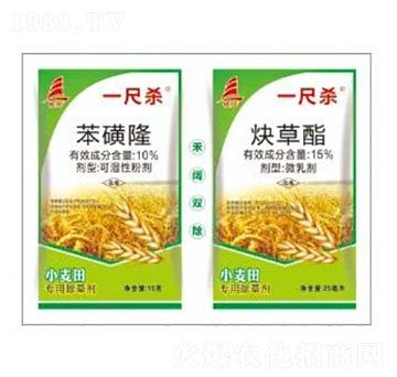 10%����¡+15%Ȳ