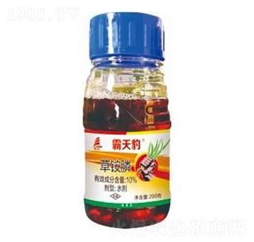 10%���@�-���챪-