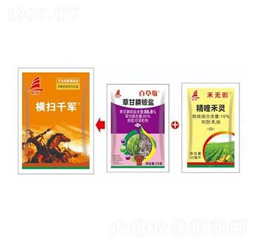 �����Գ��݄��M�ϣ�ţ��