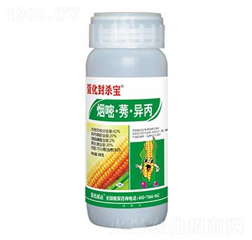 42%���ס�ݬ������-