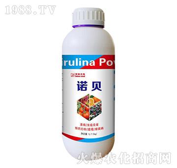 �Zؐ-���ƴ�