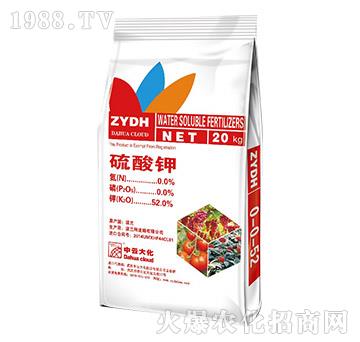 �����-���ƴ�