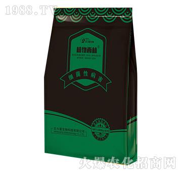 ��(x��)���Բ�������΢�������-ֲ������-������