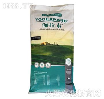 ���ĵ���ø��΢��Ԫ��ˮ