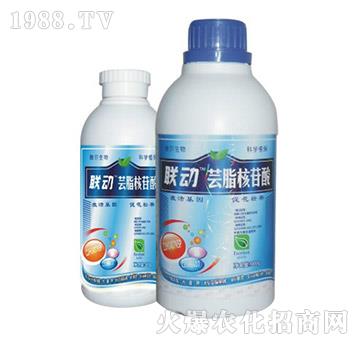 �|֬������-(li��n)��-� �