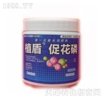 �ٻ���-ֲ��-� �����