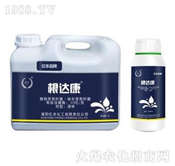 ����ѿ�ӗU��������ѿ�ߗU��-���_��-�|�S����