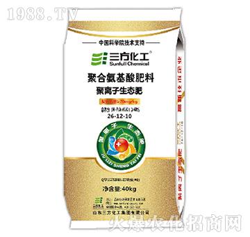 �ۺϰ��������-���x�����B(t��i)��26-12-10-��������