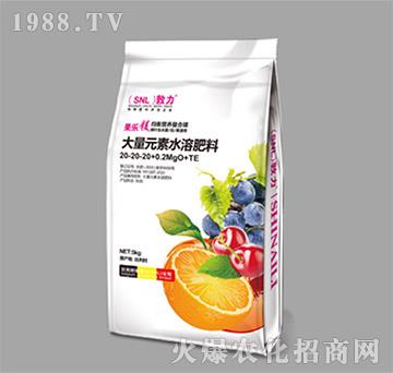 ����Ԫ��ˮ�ܷ���20-20-20+0.2MgO+TE-ʩ����