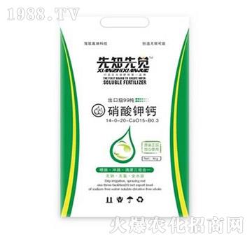 ������}-��֪���X-��