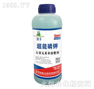 �������-��-� ���